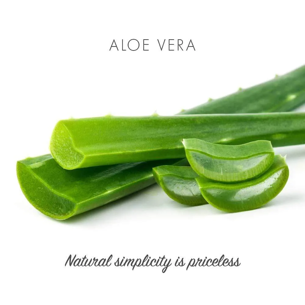 Friendly Soap - Aloe Vera