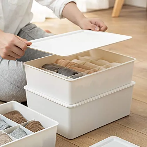 Homestic Cloth Storage Box 15 Compartment with Lid|Wardrobe Organizer For clothes (White)