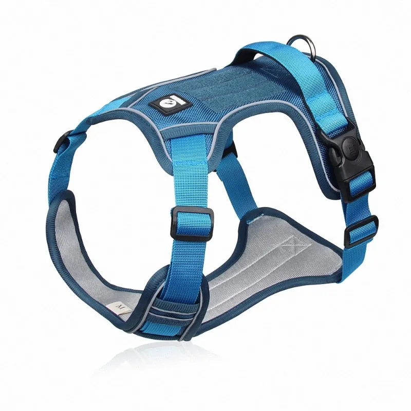 Reflective Safety Harness for French Bulldogs