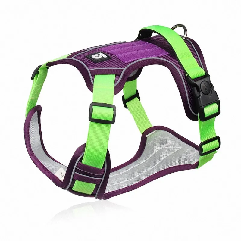 Reflective Safety Harness for French Bulldogs