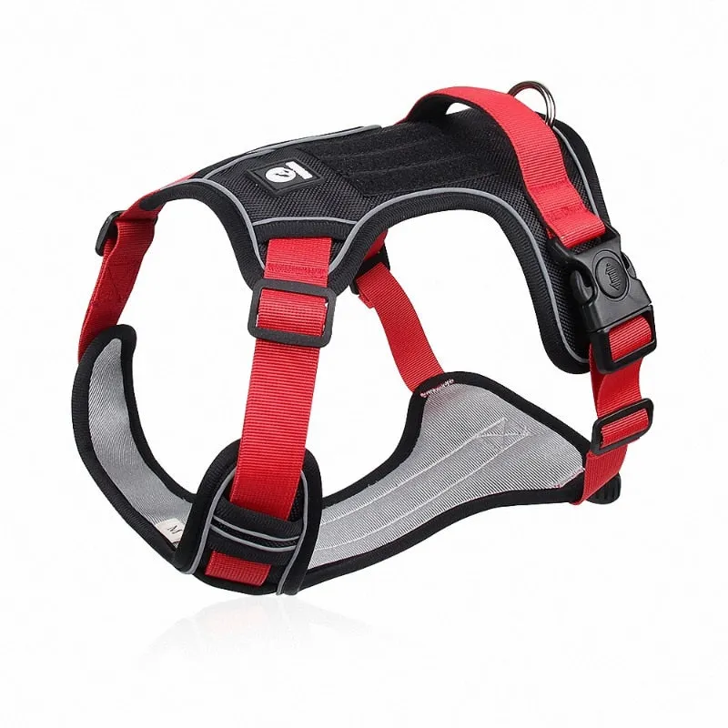 Reflective Safety Harness for French Bulldogs