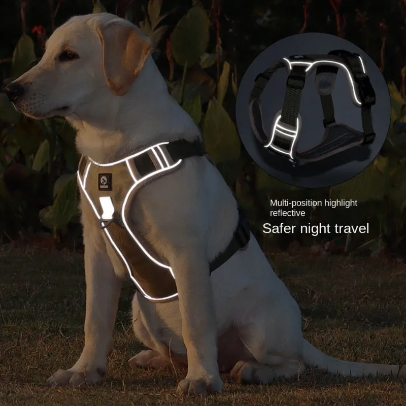 Reflective Safety Harness for French Bulldogs