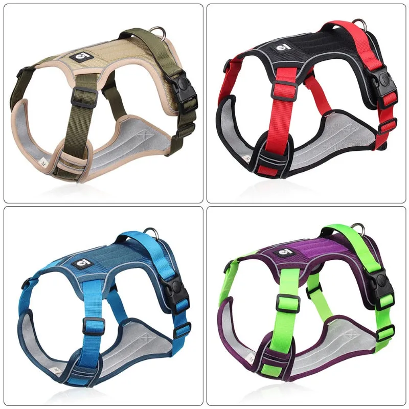 Reflective Safety Harness for French Bulldogs