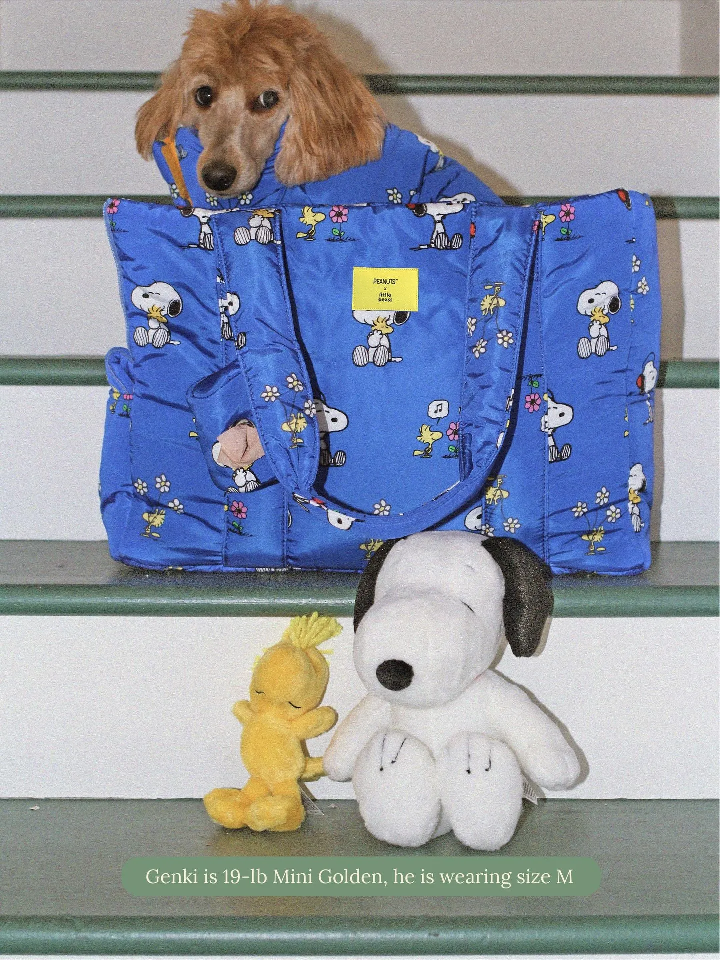 Snoopy and Woodstock Puffer Carrier - PEANUTS
